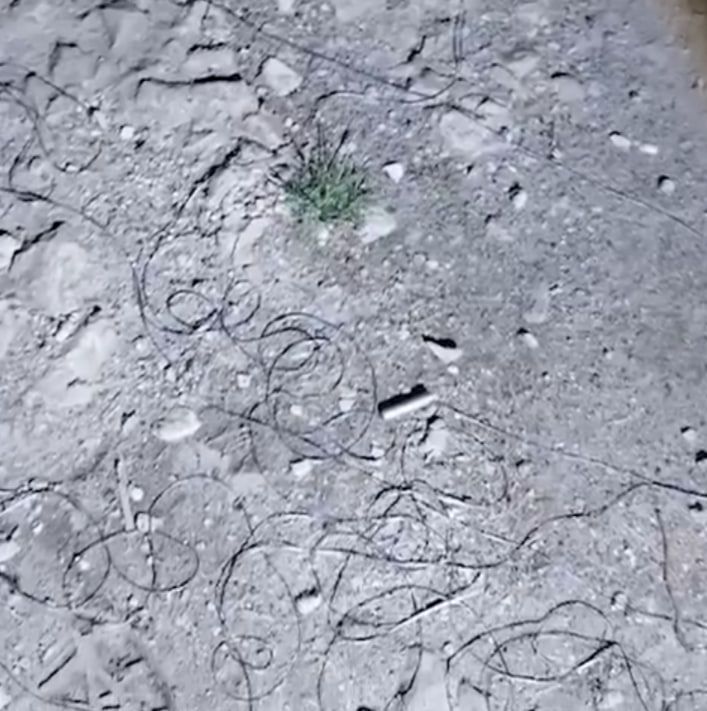 ������ ����������: �� ���������� �������� � �������