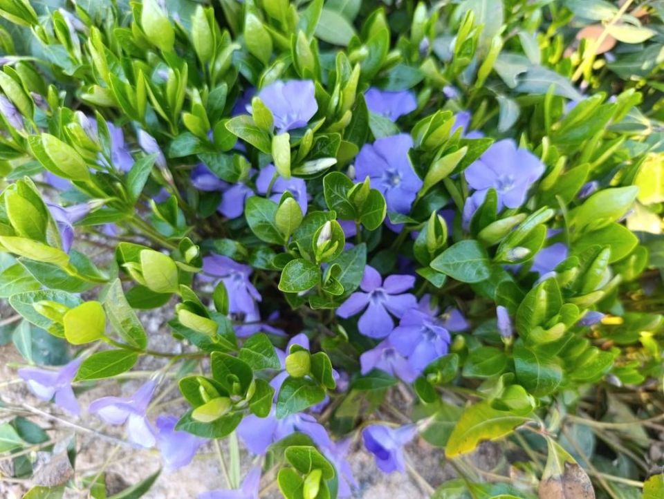 ������ ����, ������������� ������������� �����!