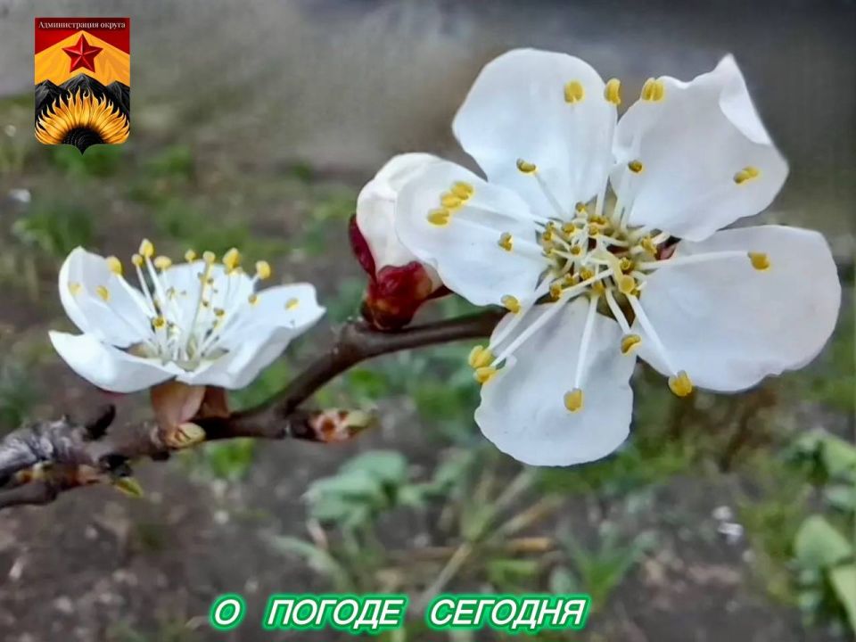 ��������� �����: ������������� ������� � ������ � ���������� ������