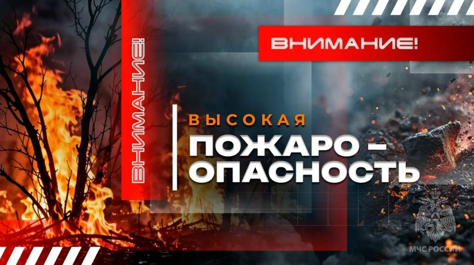 ����� �����: 8 ������ � ����������� � ���-�������� ������� �������� �������� ���������� �������������� ������� �������� ��������� (4-� �����)