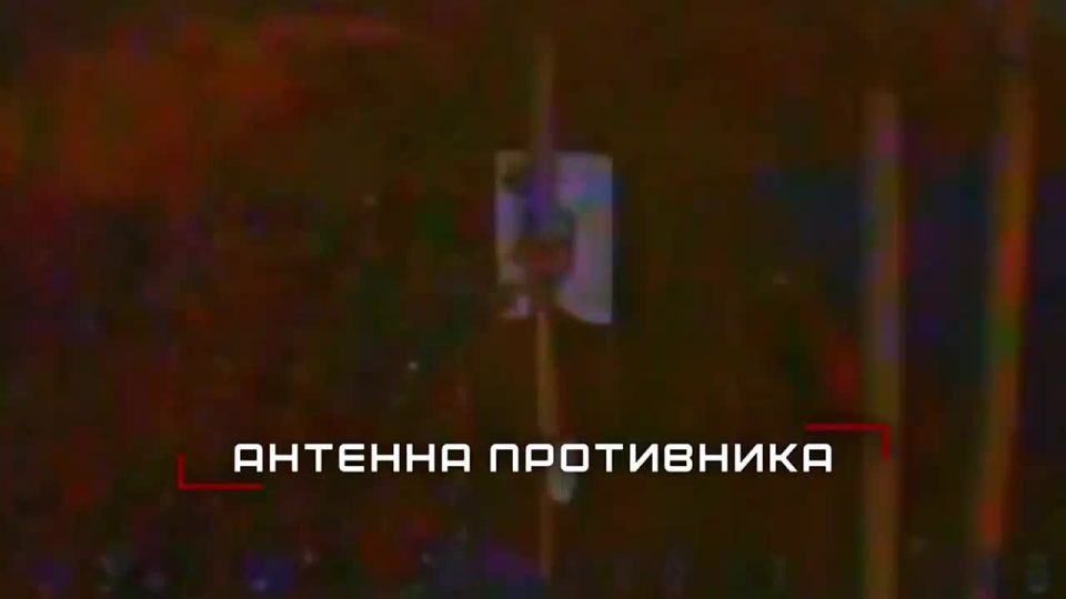 ����������� ����� ������ ������� � ������ ����� � ���� �� ����������, ����������� � � ���������������� �������