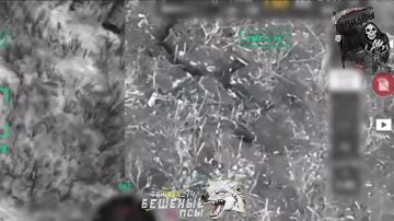 �������� �����: ���� ��������� �������� ����� ��� ������ ��������� �� 59 ������� �� ������������� �����������