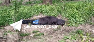 РКН алкоголь замедлил мужика в Донецке, на Красногвардейском проспекте