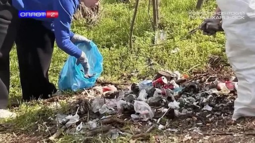 Денис Зубов: Акция «Зелёный Донбасс».