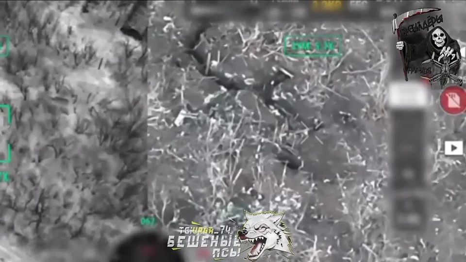 �������� �����: ���� ��������� �������� ����� ��� ������ ��������� �� 59 ������� �� ������������� �����������