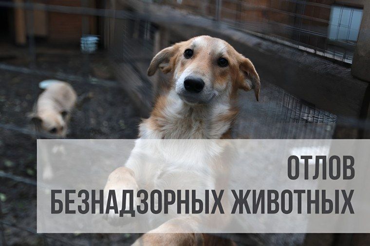 ��� ���� � �����: �������� �����������, � �� ��������