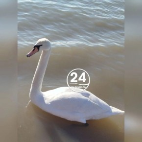 С добрым утром, Мариуполь!