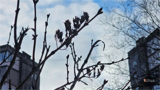 Игорь Мартынов: С новым днём!. #НашОкруг #ЕнакиевоВобъективе #ТалантыЕнакиево