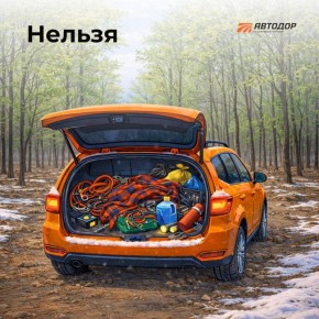 Безопасность на дороге начинается с порядка в автомобиле