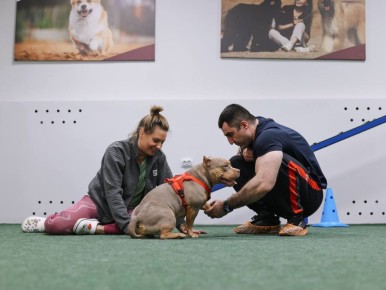 ��������� ��������: ������� � ������ ����. � ��������