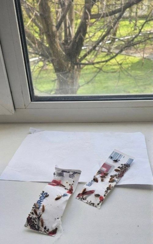 �������� � ��������� ���������� � �������� �������� �������