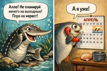 Айда метать икру! Азовское море и Дон прогрелись для массового нереста рыбы