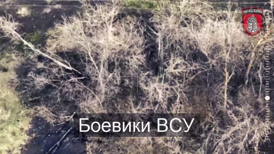 Более 40 целей уничтожено артиллерией «Невского» за месяц