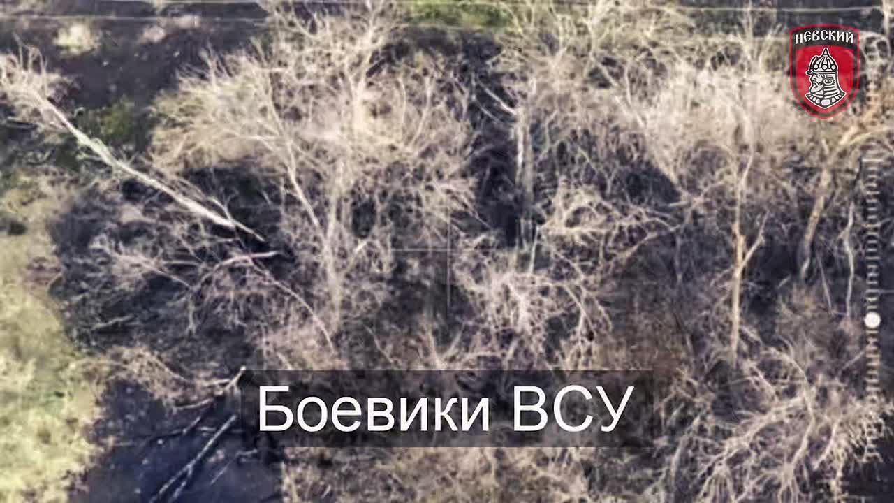 Более 40 целей уничтожено артиллерией «Невского» за месяц
