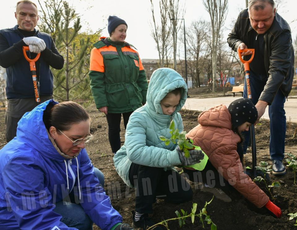 Алексей Кулемзин: Принял участие в высадке роз в сквере «Металлург» в Ленинском районе
