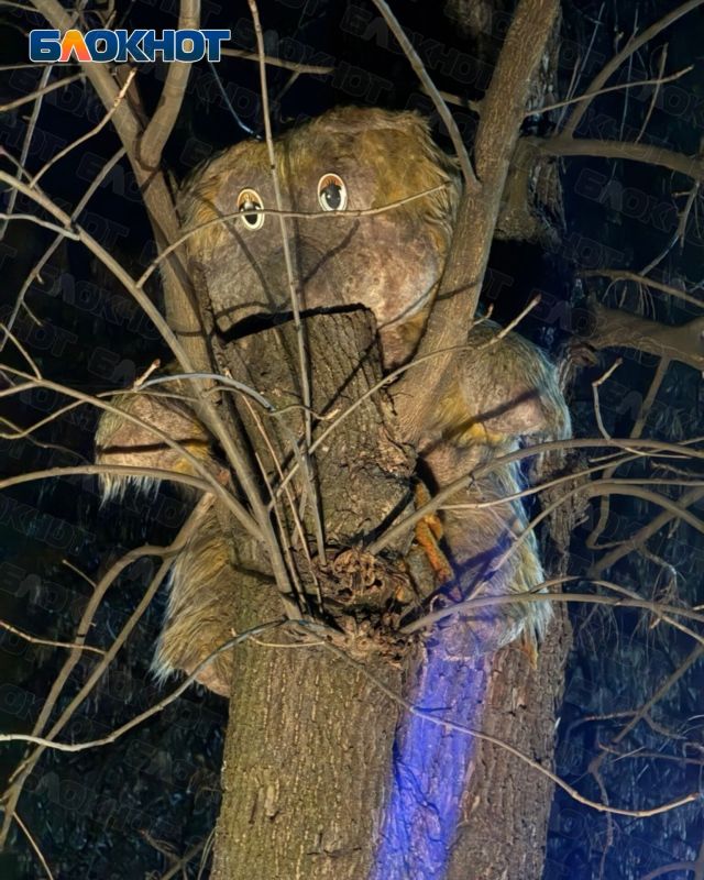 ����� ������� ����������� � ����