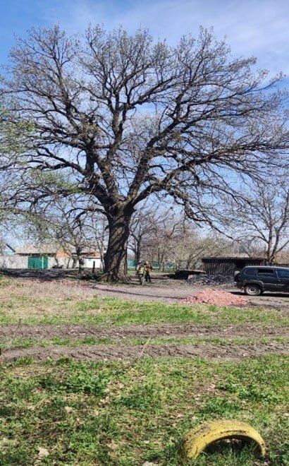 ���������� ��� ������ ������� � ��������� ������������� �������� ����������� ������ ����-2026�