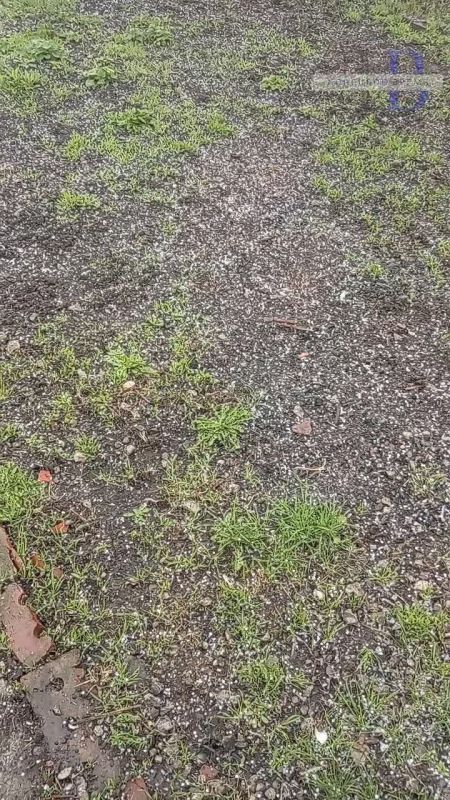 ��� �� ����, �� �� ���� �������� � ��������: � ��������� ������ ������� � ���� �������� ����� �����