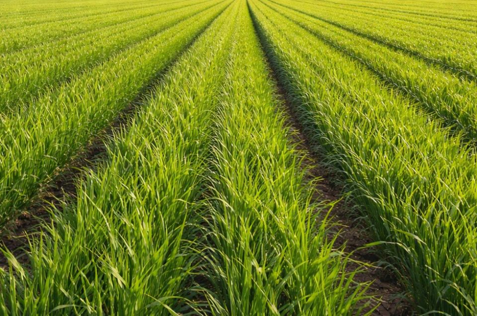 � ����������� ��� ����������, ��� ���� ��������� ������