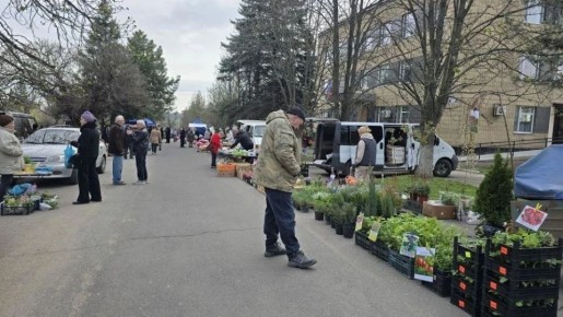 � ������� ����������� ������ �������� �������� �������