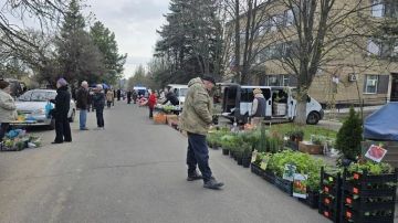 � ������� ����������� ������ �������� �������� �������