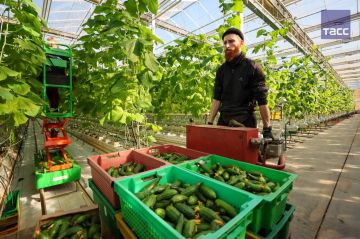 ����� �������� �������� �� ����� �� ��������� �������� ������ �������, ��� ������ ������������ ��������� ������ ������