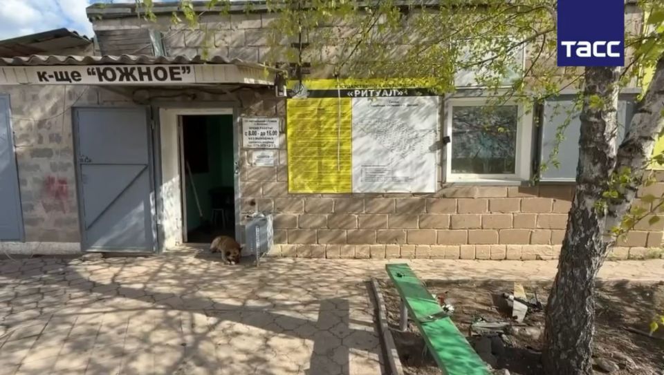 "Люди стояли спиной, батюшка отпевал": дроны ВСУ атаковали похоронную процессию на донецком кладбище "Люди стояли спиной, батюшка отпевал": дроны ВСУ атаковали похоронную процессию на донецком кладбище