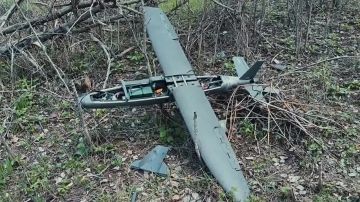 ������ ������ ��� ���� "Hornet"