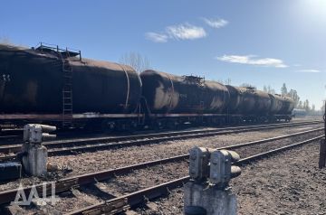 �������� ���������� �� ������ 11 �������� �� ������� ��������-��������