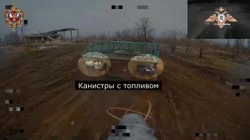 ����� �������� ���������� �������� ���� ���������������� �����������