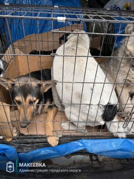 ������ �� ������������� ����������� ������������ �������� ������������