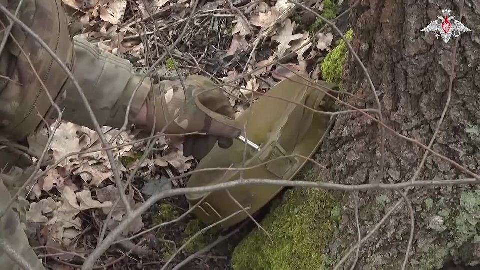 ���������� ������: ������ ����������� ������� ����������� ������������� ���������� �� ���������������� ����������� � ���