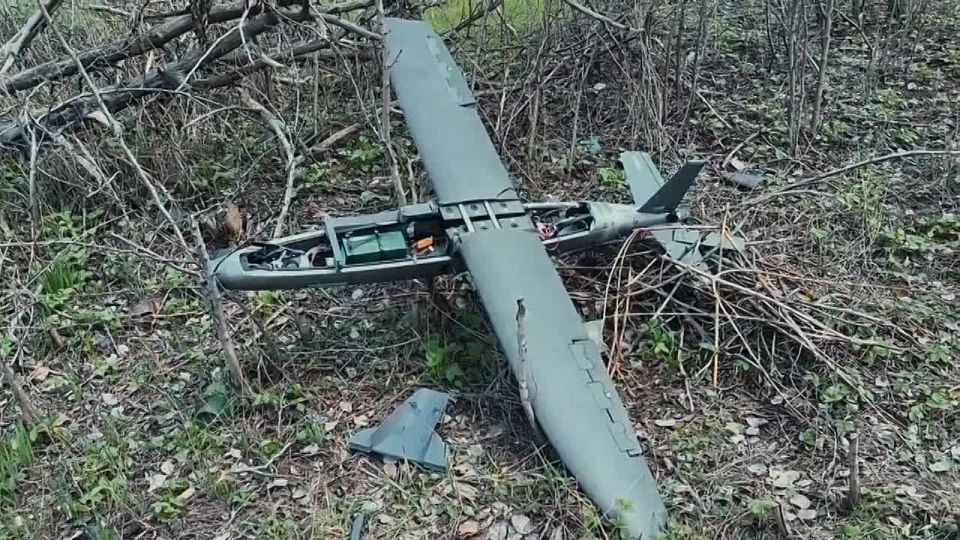 ������ ������ ��� ���� "Hornet"