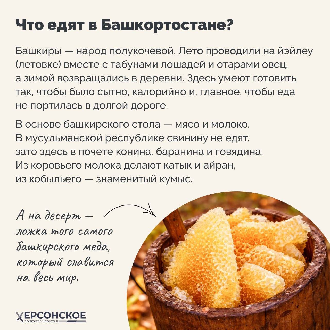 Здесь гостей покормят с руки! О каком регионе идет речь? Здесь гостей покормят с руки! О каком регионе идет речь?