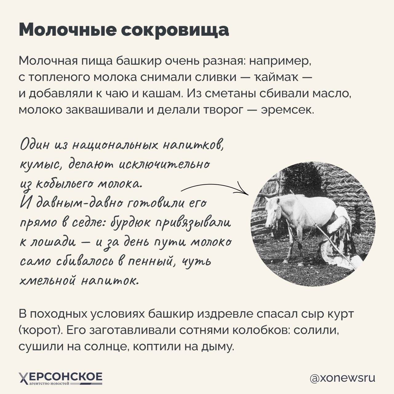 Здесь гостей покормят с руки! О каком регионе идет речь? Здесь гостей покормят с руки! О каком регионе идет речь?
