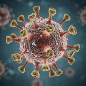 ����: ��������, ���������� � ������ �������