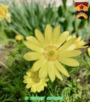 Александр Шатов: Гидрометцентр сообщил о погоде в Шахтерском округе