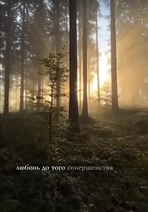 ���� ���������: ��� ���� ������! ��� ����� �� �����! ��� ������ ������, ��� ������ �����! ��� ������ �������� ���� �� ���� ������� ����� �� ����� � �� ������