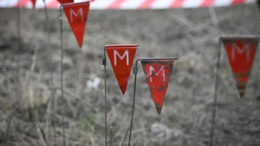 1 � ��� ����������� �� 30 �� �������������������� ������ �����������