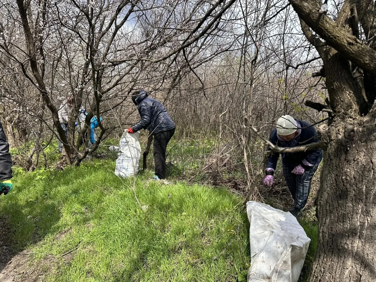 Елена Рязанцева: 11 апреля Пролетарский район принял участие в республиканском субботнике, который стал ярким примером гражданской активности и заботы о своем городе и был организован в рамках федерального партийного... Елена Рязанцева: 11 апреля Пролетарский район принял участие в республиканском субботнике, который стал ярким примером гражданской активности и заботы о своем городе и был организован в рамках федерального партийного...