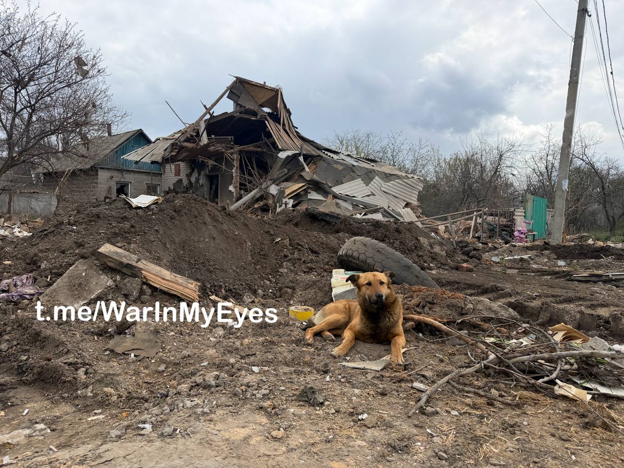 Последствия ночного прилета ударного БПЛА в Ясиноватой в результате которого погибли 2 человека, еще 7 получили ранения Последствия ночного прилета ударного БПЛА в Ясиноватой в результате которого погибли 2 человека, еще 7 получили ранения