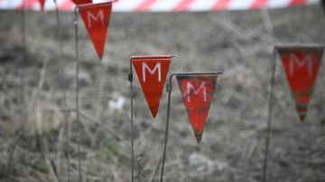 1 � ��� ����������� �� 30 �� �������������������� ������ �����������