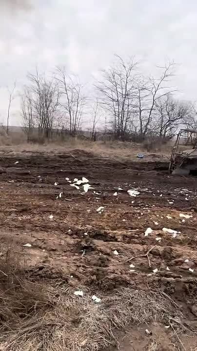 ������������ �� ���������� ����������� ��������������� ����� ���, ������� ������������ � ����� FPV ������