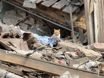 ����������� ������� ������� �������� ���� � ���������� � ���������� �������� ������� 2 ��������, ��� 7 �������� �������