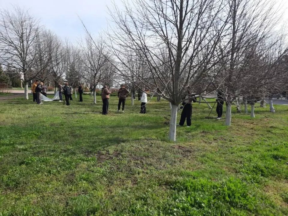 «Донбасс — наш дом»: порядок начинается с каждого «Донбасс — наш дом»: порядок начинается с каждого