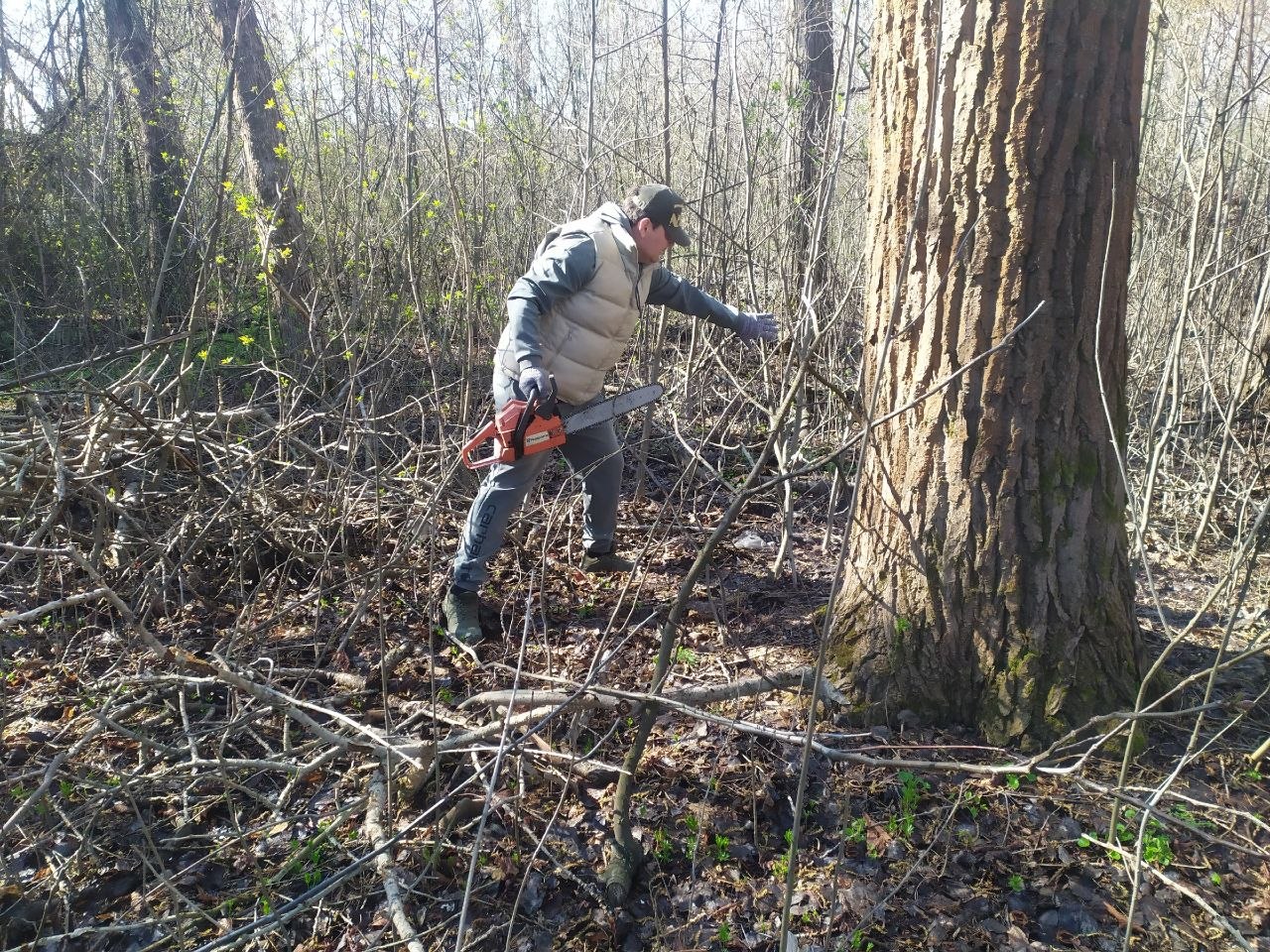 В Торезе прошёл общереспубликанский субботник В Торезе прошёл общереспубликанский субботник