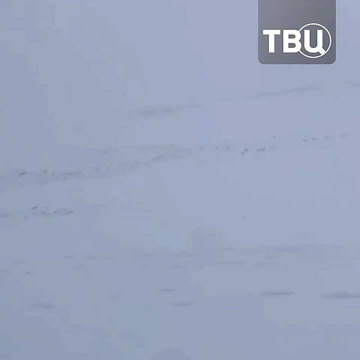 ����� �� 20 ������� ������ � ����� ���������