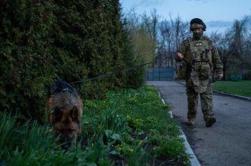 Росгвардейцы обеспечат безопасность верующих на всех праздничных богослужениях