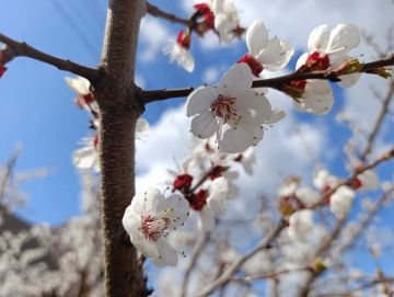 Доброе утро, Амвросиевский муниципальный округ!