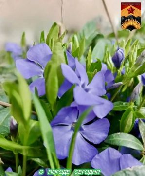 Александр Шатов: Гидрометцентр сообщил о погоде в Шахтерском округе